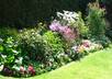 give you the complete guide to growing anything in your backyard small3