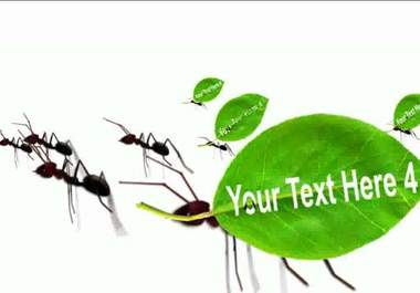 make Ants carry your Message and pictures HD video big3