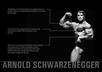 record your custom message in the classic Arnold Schwarzenegger voice small3