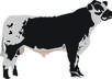 vectorize ANYTHING from your images small3