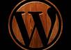 set up and customize your wordpress web site small3