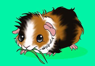color your big eyed custom cartoon animal big3