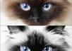 colour pop up to three photos small3