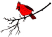 cartoonize you or a friend small3