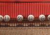 let my DOG choose your lottery numbers small3