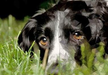 make amazing art from your picture big3