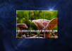create Awesome TOUCH Style Cube Video small3