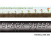 make a banner for your blog or website small3