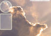 give you 5 amazing Twitter backgrounds small3