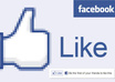get you 500 REAL Facebook likes/fans to your fan page small1