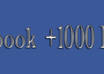 give you 1000+ facebook page likes without need of password
