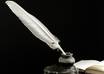 write you a 600 word article on the subject of your choice