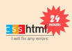 fix any CSS or html errors/bugs on your website or project in 24 hours small1