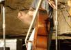 give you a 20 minute Upright Bass Lesson small1