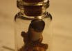 make you a wish bottle with wish or message in a scroll with burnt edges small1