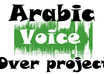 put My Arabic Voice Over Your Project up to 2 mins