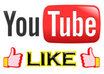 give you 2500+ read Youtube Views, 70 likes