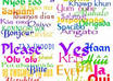 Translation and web