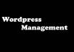 install and manage your wordpress website small1