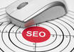 give you one full MONTH of 100 percent White Hat seo to increase your Google rankings and grow your site