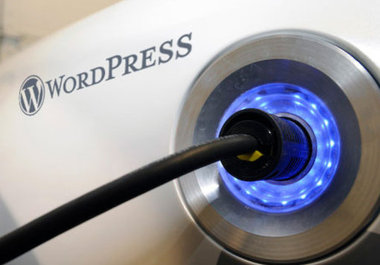 setup and configure any plugin for wordpress big1