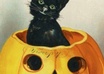 send you HALLOWEEN 400 fun ideas ebook with costumes, decorations, food and punch recipes, trivia, activities, games, music, movies