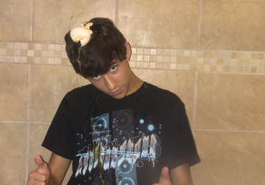 crack eggs 3 on my head while singing happy birthday to someone big1