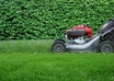 send you over 500 high quality articles on Garden Maintenance