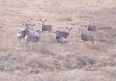 send you five digital photos of scenic views of the prairie, sites, or homesteads big1