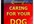 send you Caring For Your Dog