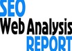 create a SEO Analysis Report for your website