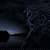 shadowdragon