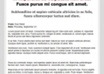 provide you PLR Minisite Design small1