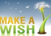 make your wish come true