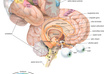 provide you with my ultimate INFO folder filled with over 1300 selected and well organized infographics