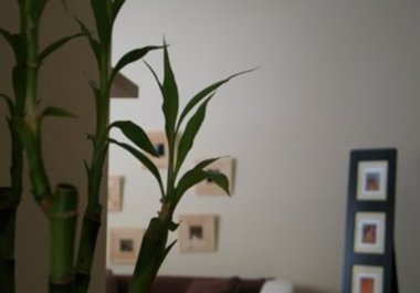provide low cost interior design suggestions for your room or area big1