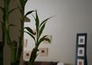 provide low cost interior design suggestions for your room or area