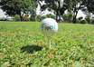 make a 10 seconds HD video with a short message written on a new golf ball and hit it perfectly just for you small1
