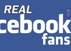 provide You 400+ best quality Facebook Real likes With No Egg No Bot Ids In Any Of Your FB Page only and only in 20 hours