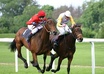 tell you HORSE Racing Tips, an Horse to Back more than 2,00 Odd, an Horse to Lay under 3,00 Odd and an Horse Each Way more than 5,00 Odd