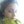 paulina_smiles