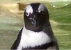write up to 200 words of web content for your blog or site on any subject