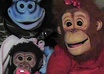 puppet FLIRT or Tell Your Joke or message small1