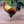 fabrooster