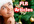 give you 175 holiday PLR articles and a bonus pack