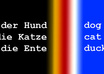 compile a German/English vocabulary list of 35 words on a subject of your choice