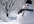 send you a photo of snowman holding a sign with your message