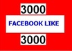 get you 3000 facebook LIKES to anyfacebook fanpage, website, blog, with 5 orders