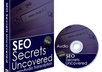 send you the complete course "SEO Secrets Uncovered" That will boost your traffic