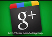 Google plus vote